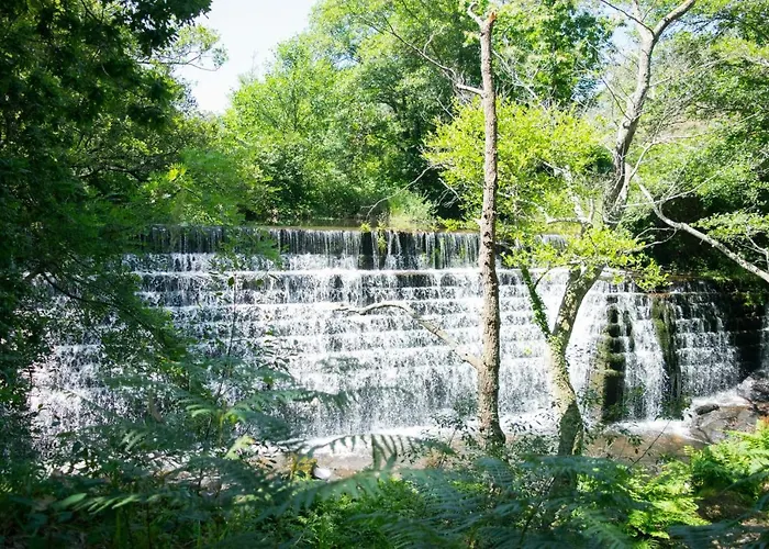 Lejlighed Piso Playa